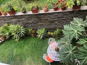 un giardino con piante in vaso e un pollo nell'erba di Casa Campo Machu Picchu - Club Los Girasoles, Chaclacayo a Chaclacayo