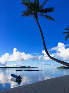 a boat on a beach with a palm tree at Coconut Beach Resort in Tavewa