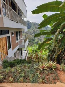 Zahrada ubytování DOI TUNG Anisa Homestay + 8 fotografií