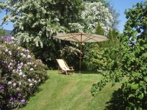 einen Stuhl unter einem Regenschirm im Garten in der Unterkunft Lütjens Bienenhaus in Ulsnis