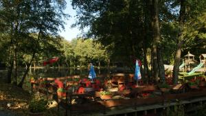 a group of chairs and umbrellas in a park at le chalet de Lola in Saint-Michel