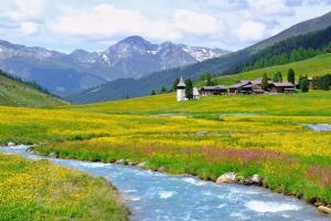 a river in a field of flowers with mountains in the background at Walserhuus Sertig in Sertig Döfli