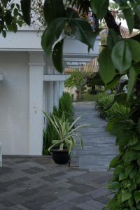 Zahrada ubytování Sevilla Resort Magelang