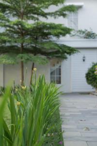 Zahrada ubytování Sevilla Resort Magelang