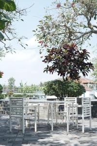 a group of white tables and chairs under a tree at Sevilla Resort Magelang in Magelang