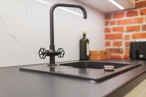 a kitchen counter with a sink with a wine bottle at Grey Panther Apartment in the Heart of Wroclaw in Wrocław