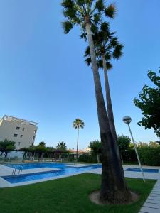 a palm tree sitting next to a swimming pool at Apartamento Aguamar in Denia