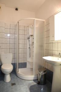 a bathroom with a shower and a toilet and a sink at Manis Hotel in Nymfaio