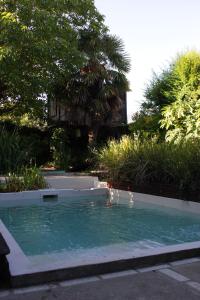 uma piscina no meio de um jardim em Allegra Dalila Casa Hotel-Arte em Tandil