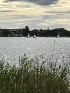 three sailboats on a large body of water at FeWo Khuki in Leipzig