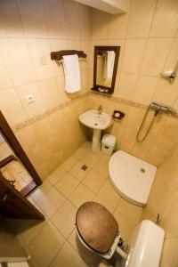 un piccolo bagno con servizi igienici e lavandino di Pensiunea Dealul cu Melci a Vidra