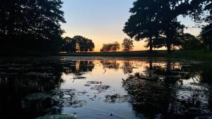 a pond with lily pads on the water at sunset at Schloss Badow in Badow