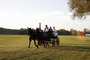 Jízda na koni v prázdninového domu nebo okolí
