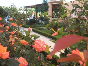 Zahrada ubytování Golden Rose Suites