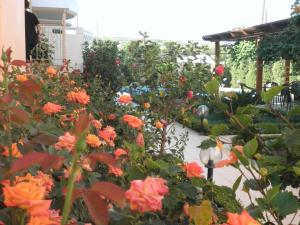 Zahrada ubytování Golden Rose Suites