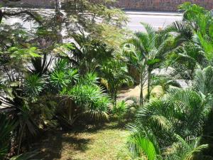 Giardino di Sunway Residence