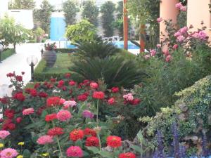Zahrada ubytování Golden Rose Suites