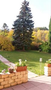 Zahrada ubytování Hotel Sonnenhof