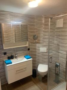 a bathroom with a toilet and a sink and a shower at Haus Anna in Seefeld in Tirol