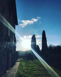 een lichtstraal die schijnt op een veld met bomen bij Agriturismo Spazzavento in Palazzone