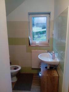 ein Bad mit einem Waschbecken, einem WC und einem Fenster in der Unterkunft Chalupa ve Vejprtech in Vejprty