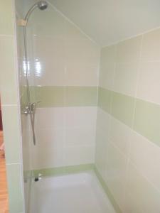 een badkamer met een douche en een bad bij Chalupa ve Vejprtech in Vejprty