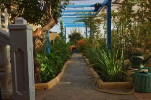 サン・バルトロメにあるFinca Cortezの温室植物の庭廊