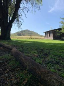 Ein Baum auf einem Feld neben einem Haus in der Unterkunft Complejo Cabañas Cerro Redondo in Tandil