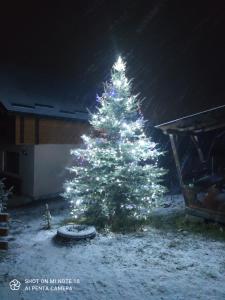 a christmas tree is lit up in the snow at Sadyba Geredzhuka in Vorokhta