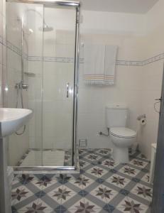 a bathroom with a shower and a toilet and a sink at Casa da Rosa Linda in Orca