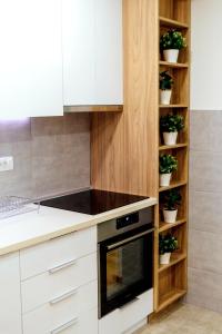 Kitchen o kitchenette sa Apartman Happy day Divčibare