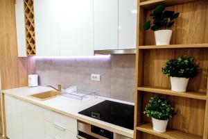 Kitchen o kitchenette sa Apartman Happy day Divčibare