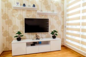 TV at/o entertainment center sa Apartman Happy day Divčibare