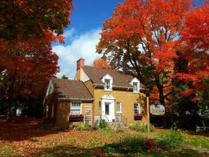 a yellow house with autumn leaves on the ground at Gîte La Belle Aventure B&B in Shawinigan
