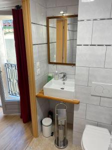 a bathroom with a sink and a toilet and a mirror at Hostel Le Diablotin in Saint-Jean-de-Fos +36 photos
