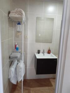 蓬塔雷納斯的住宿－Atardecer porteño，一间带水槽和镜子的浴室