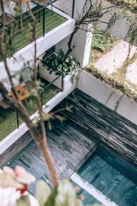 - une vue sur la piscine avec une plante dans l'établissement John Boutique Villa, à Đà Nẵng