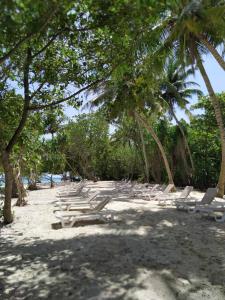 eine Gruppe von Liegestühlen und Palmen am Strand in der Unterkunft Acqua Blu Rasdhoo in Rasdu