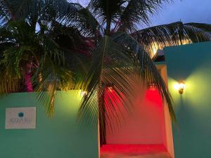 a palm tree in front of a building with lights at Acqua Blu Rasdhoo in Rasdu