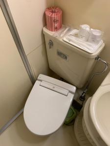 a bathroom with a white toilet and a sink at Matsue Urban Hotel Lake Inn in Matsue