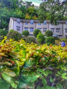 Gallery image of Symonds Yat West Holiday Cottage 8 WRC with views of Yat Rock in Symonds Yat