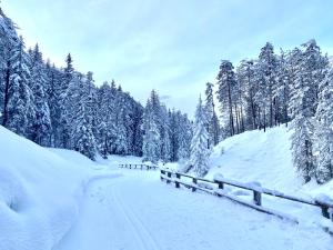 Zdjęcie z galerii obiektu Florisa Mountain Penthouse w mieście San Vigilio di Marebbe