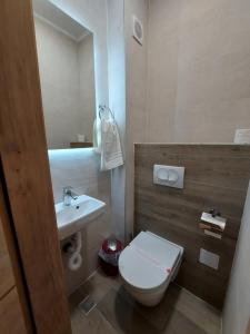 a small bathroom with a toilet and a sink at Apartmani Winner Jahorina in Jahorina +45 photos