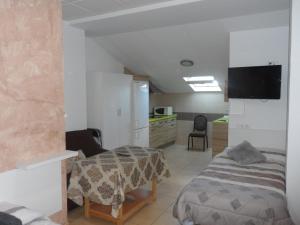 a bedroom with a bed and a tv in a room at Hostal Via Del Caminante in Madrigalejo