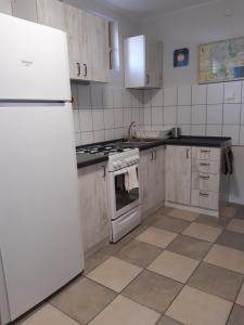 A kitchen or kitchenette at Nóra Apartman