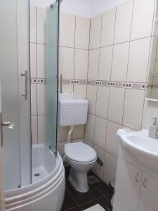 y baño con aseo, lavabo y ducha. en Sobe Zeravica Sremski Karlovci, en Sremski Karlovci