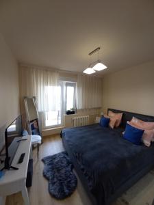 a bedroom with a large bed with blue pillows at TEI in Oradea +15 photos