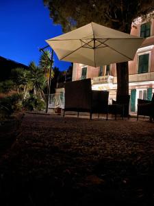 un parasol blanc et deux chaises sous un arbre dans l'établissement Villa Accini, à Monterosso al Mare