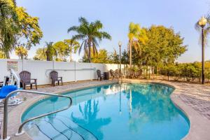 einen Pool mit Stühlen, einem Zaun und Palmen in der Unterkunft Sleep Inn & Suites - Jacksonville in Jacksonville