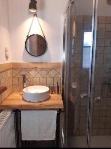 a bathroom with a sink and a shower at Kocisówka in Lipowa